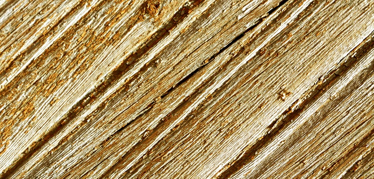 免洗手消毒液備案檢測(cè)報(bào)告費(fèi)用