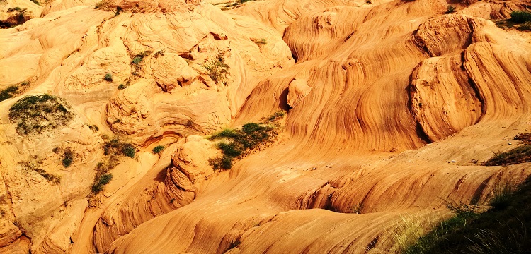 殺蟲劑第三方檢測機(jī)構(gòu)：殺蟲劑檢測有哪些項目 