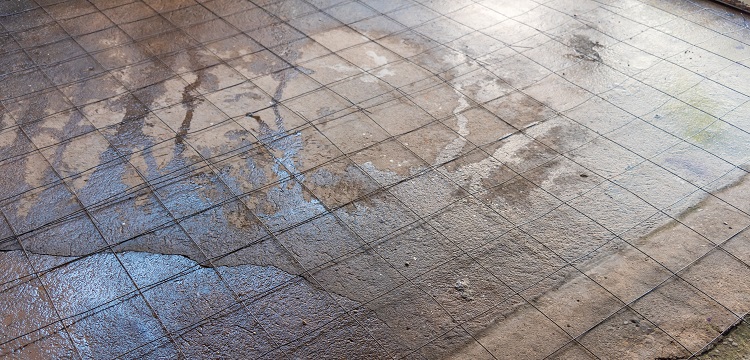 媒體報道多個電商平臺有售「造假消毒液」，用「甲醇冒充酒精」售賣，甲醇對人體的危害有多大 如何辨別 ?寵物醫院用什么消毒液? 健明迪檢測