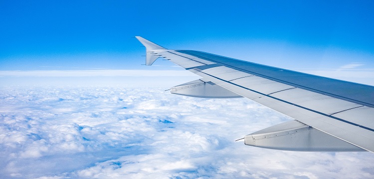 AAV注射誘導恒河猴亨廷頓病模型