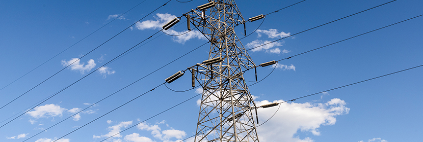 輻射誘導小鼠腸損傷模型