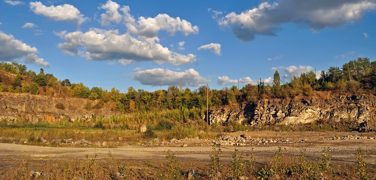 牡丹籽檢測(cè),牡丹籽營養(yǎng)成分含量檢測(cè)
