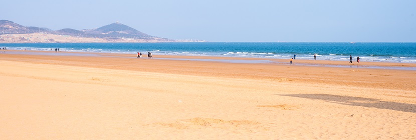多發性腸道腫瘤小鼠模型
