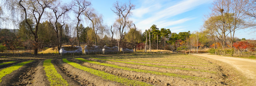 醫(yī)療器械檢測(cè)