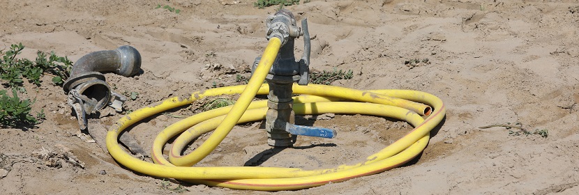 橙皮苷檢測(cè)