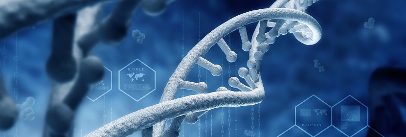 細(xì)胞染色體畸變?cè)囼?yàn)