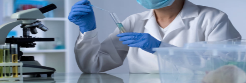 體外細胞毒性試驗