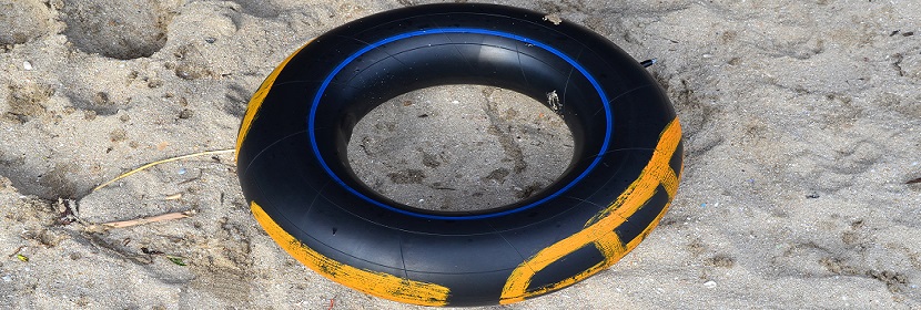 細(xì)胞生物學(xué)試驗(yàn)