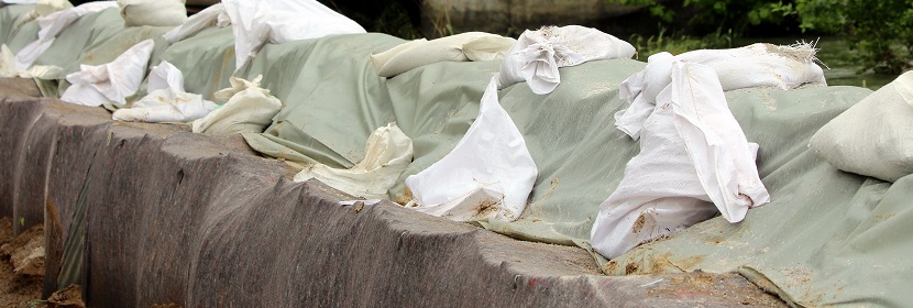 化學(xué)吸附測(cè)試