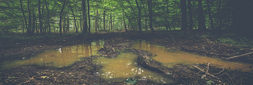 動(dòng)力粘度系數(shù)檢測(cè)