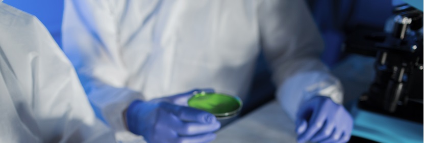 發泡聚丙烯（PP-E）珠粒檢測